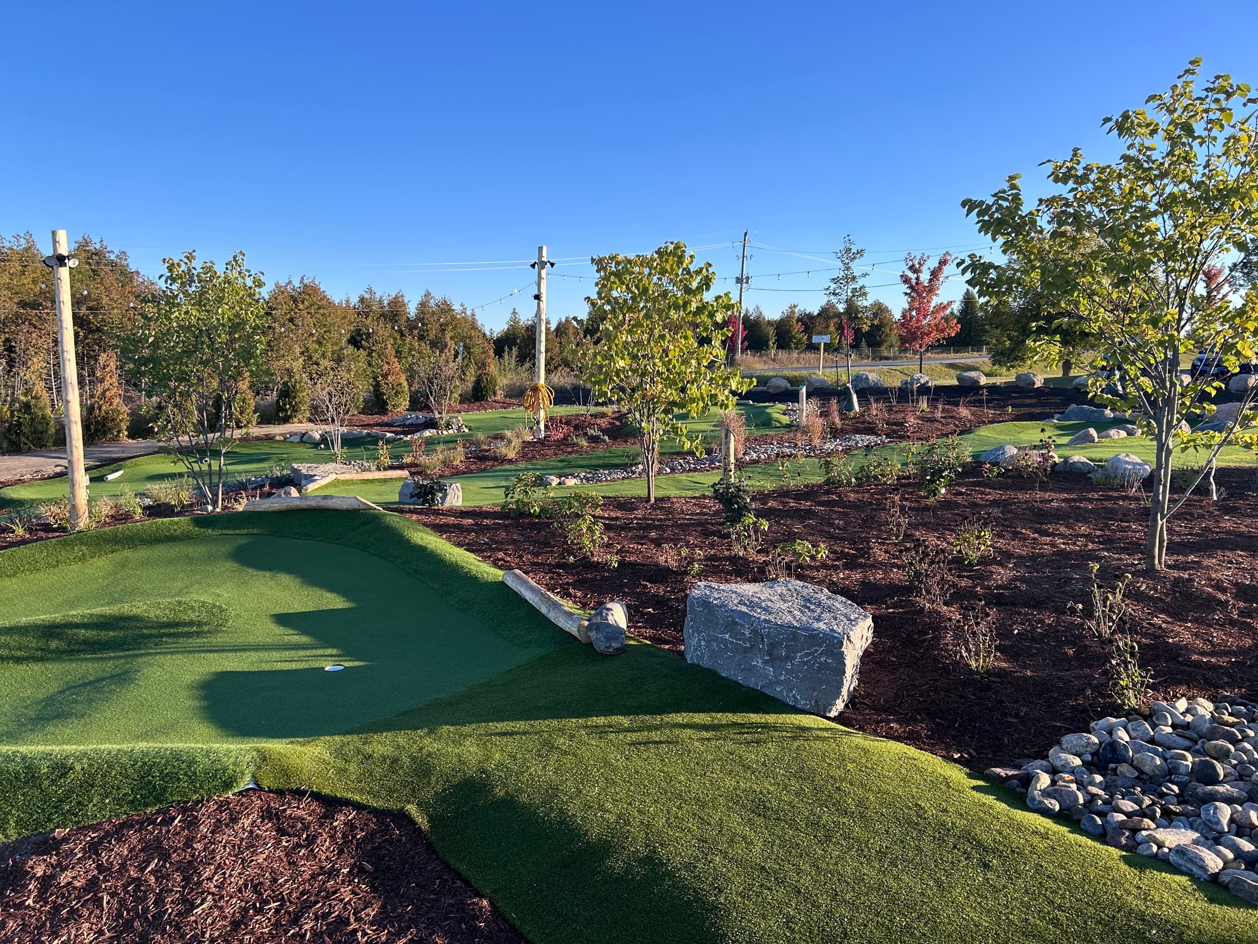 A rolling putting green lined with young trees and a red maple